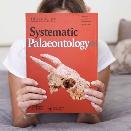 Systematic Palaeontology